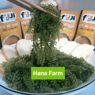 Xốt mè rang Fuji Nhật Bản