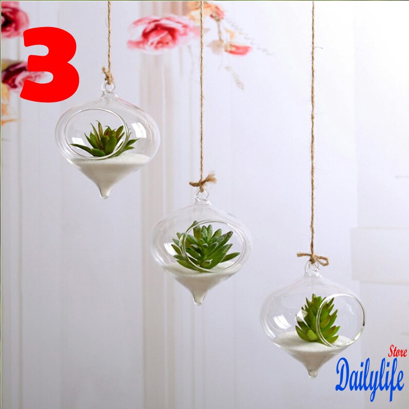 Chậu hoa bằng thủy tinh treo tường