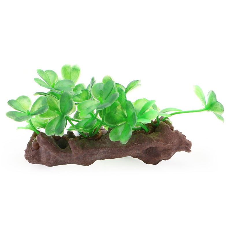 Lá Giả Trang Trí Bể Cá