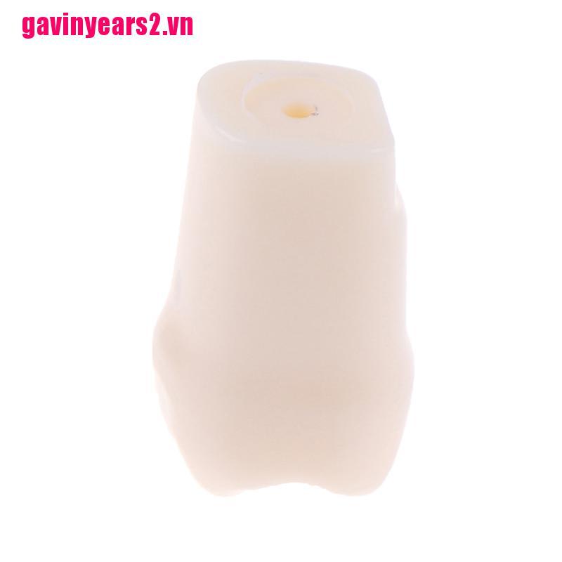 Bộ 28 Mô Hình Răng Nhựa Chuyên Dùng Cho Nha Khoa