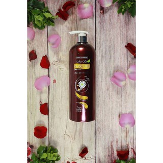Dầu gội Thái Dương 7 - 1100ml kèm quà tặng