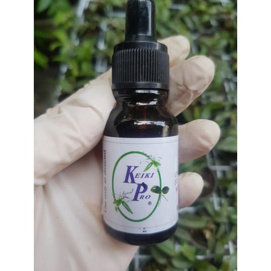 KÍCH KIE PRO MỸ_KÍCH MẦM CHỒI HOA LAN