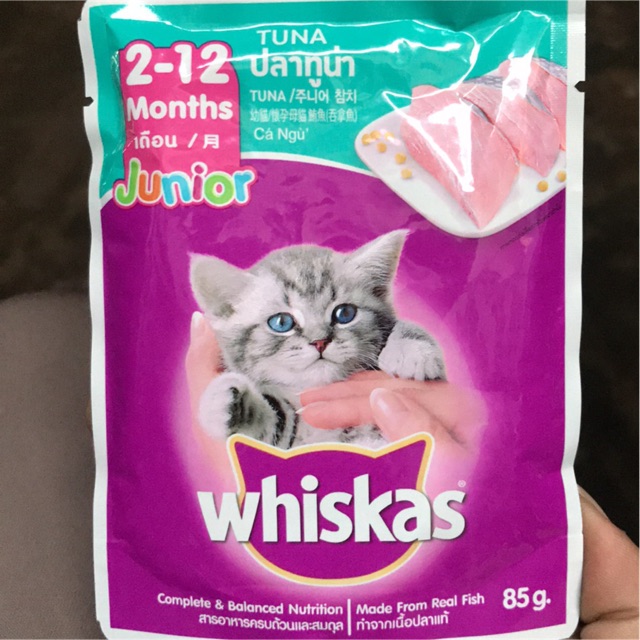 Thức ăn ướt whiskas mèo con