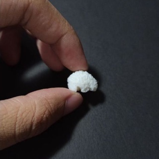 Set 5 Mô hình bộ não người tỉ lệ 1:12, siêu nhỏ, trang trí tiểu cảnh, sa bàn