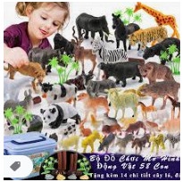 Bộ Đồ Chơi Mô Hình Thú Rừng Động Vật 58 Chi Tiết Cho Bé, Có Hộp Đựng, Chính Hãng Toy Kids Kingdom
