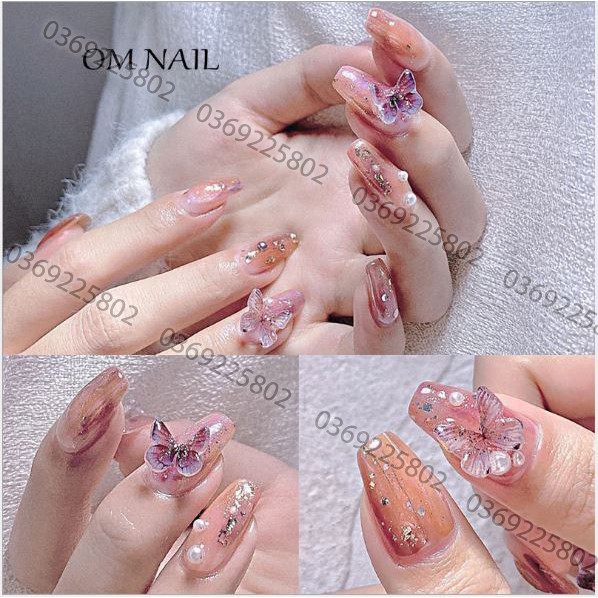 Hũ 5 bướm DIY mẫu ngẫu nhiên trang trí móng