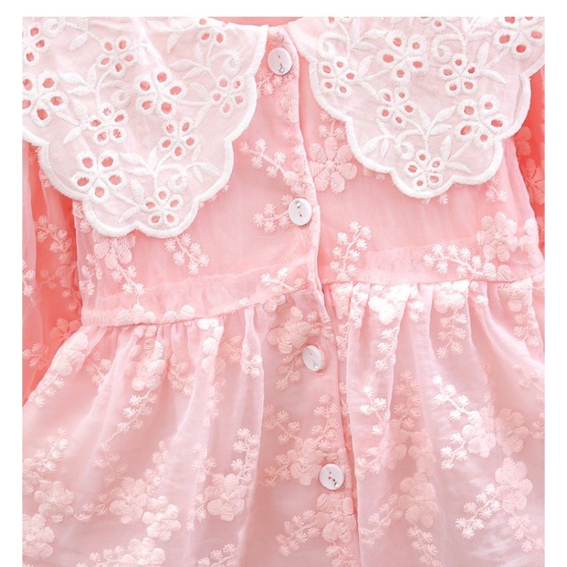 Summer girls dress Beautiful lace dress baby dress children's dress