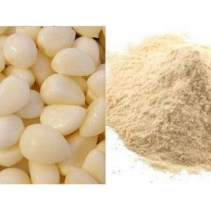 Bột tỏi 100g