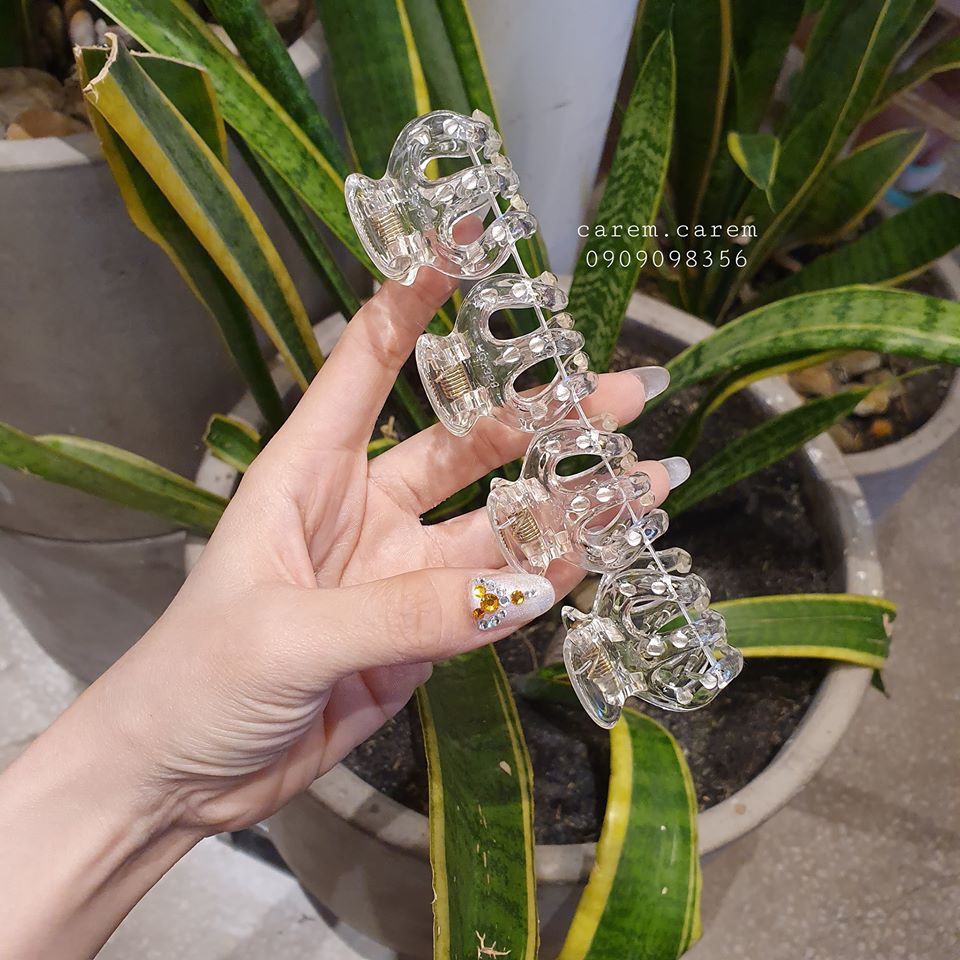 Kẹp càng cua nội địa Thái loại XỊN
