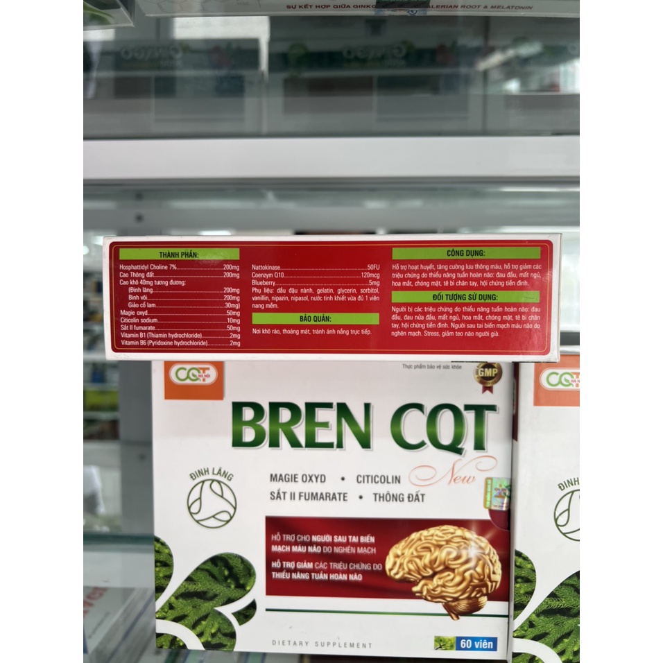 Bren Cqt Hỗ Trợ Cho Người Sau Tai Biến Mạch Máu Não Do Nghẽn Mạch, Giảm Các Triệu Chứng Do Tuần Hoàn Não