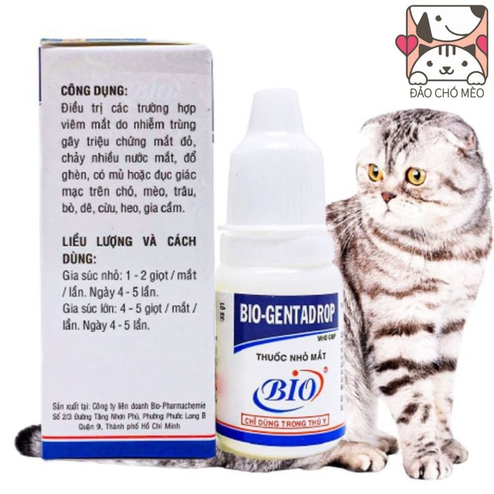 Nhỏ mắt Bio Genta chữa đỏ mắt , ghèn mắt, mắt có ghèn đục giác mạc Bio Gentadrop 10ml - Đảo Chó Mèo | BigBuy360 - bigbuy360.vn