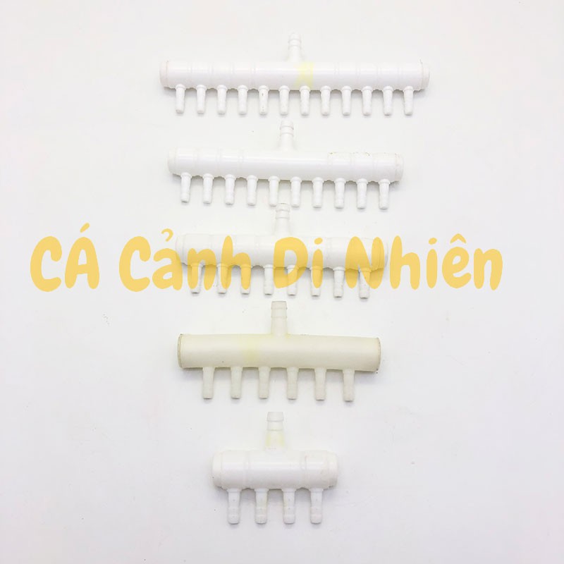 Ống chia dây sủi khí Oxy 4,6,8,10,12 đầu cho hồ cá cảnh