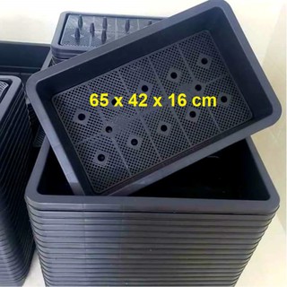 ⚡Ship Hỏa Tốc⚡ Combo 5 Khay Nhựa Trồng Rau Nuôi Cá Thông Minh Kèm Lưới Lót 65x42x16cm [Loại Tốt] - An An Saigon