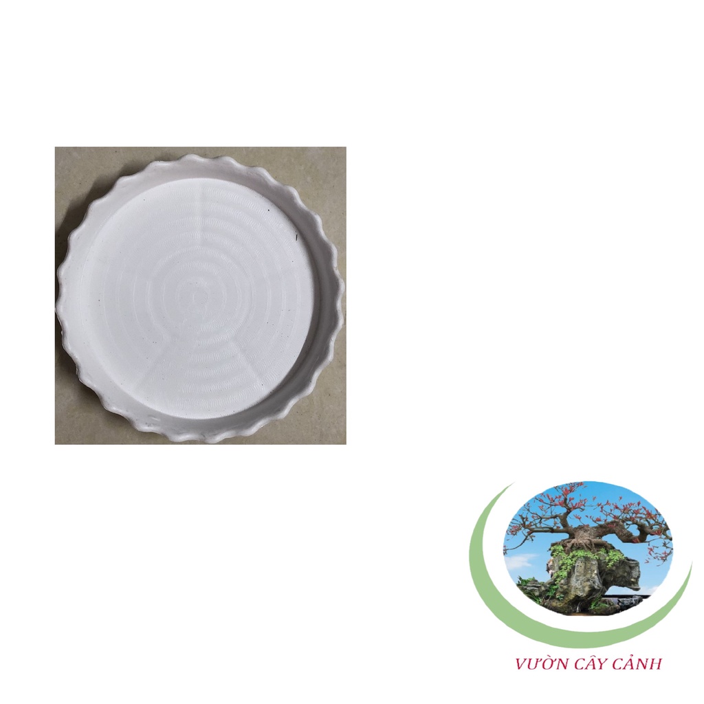 Đĩa lót chậu tròn khía Phi 8,5cm - #047C#