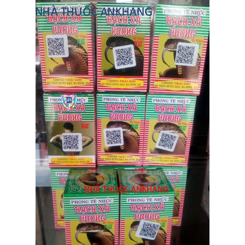 Phong Tê Nhức Bạch Xà Vương PLUSS bGiải pháp Cho người đau mỏi xương khớp