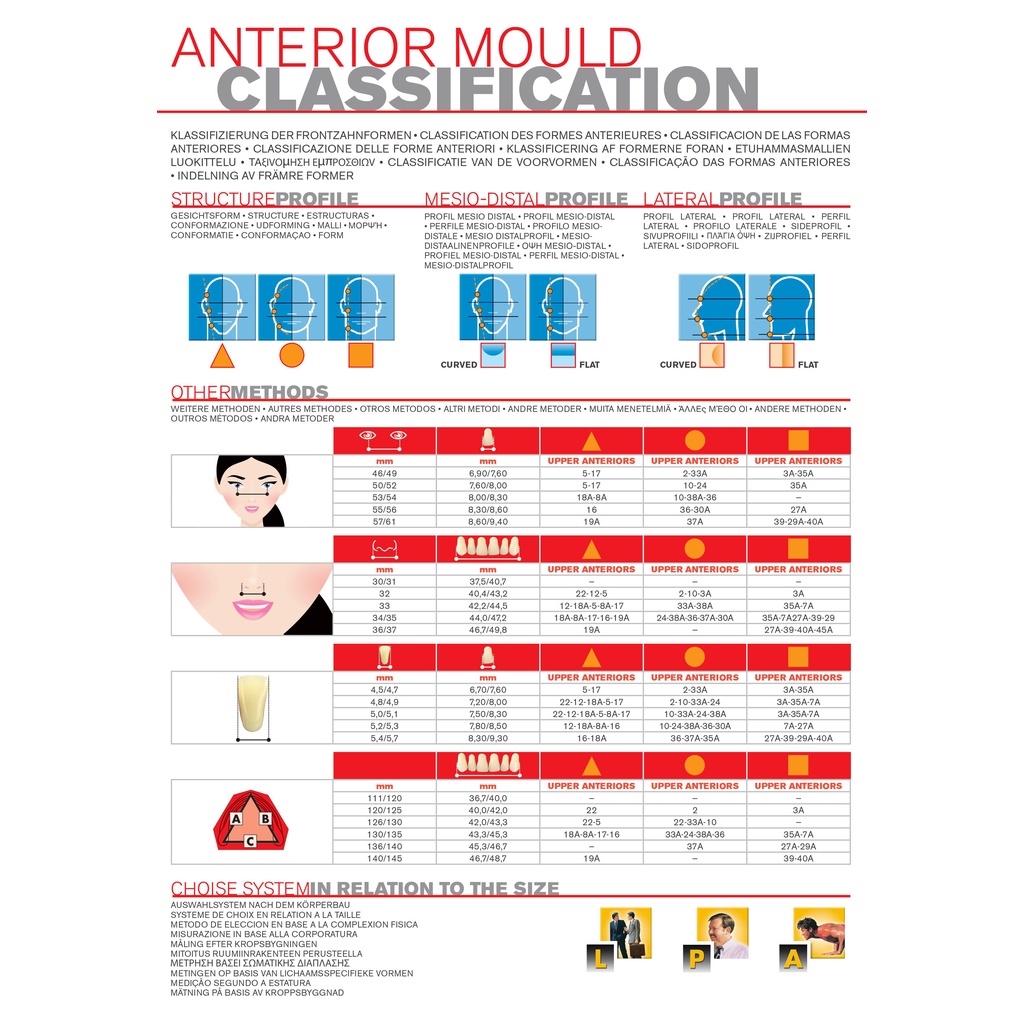 Răng nhựa giả tháo lắp màu A1 siêu cứng 3 lớp Major Dent Italy Artificial Teeth
