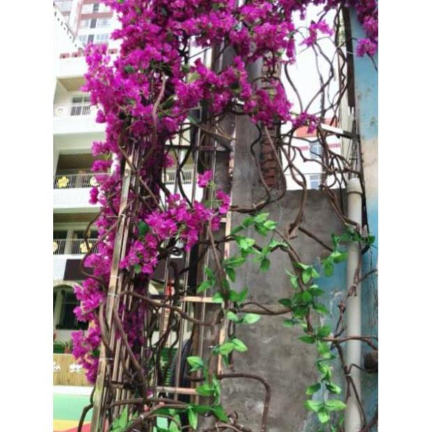 Hoa giả -Cành hoa giấy cao 1met