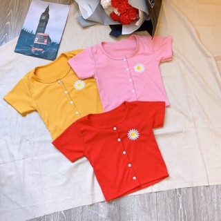 Áo croptop phối nút thêu hoa cúc
