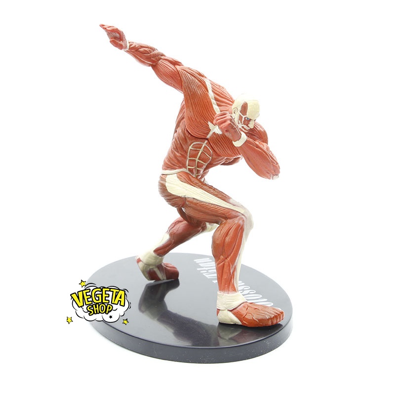 Mô hình Attack On Titan - Titan khổng lồ Colossal Titan - Armin Arlert Bertolt Hoover - Đại chiến Titan - Fullbox - 17cm