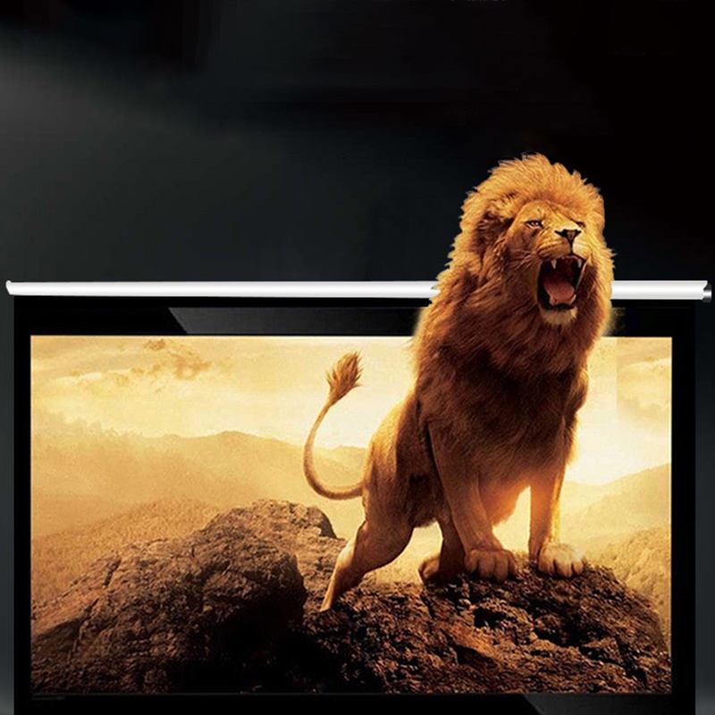Màn Chiếu Treo Tường 100inch 16：9 2m21 x 1m25 hỗ trợ công nghệ 4K FHD 3D màn phủ quang học