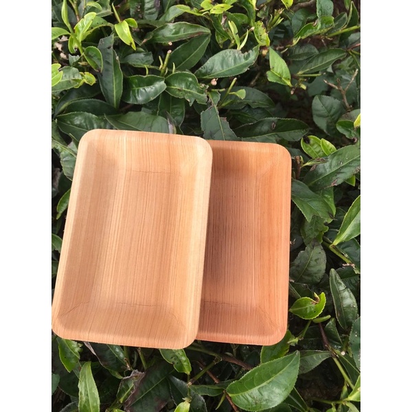 Khay, dĩa chữ nhật CN15/Set 5 cái/tea break/chén đĩa mo cau dùng 1 lần tiện lợi, thân thiện môi trường/ mo cau xứ Tiên