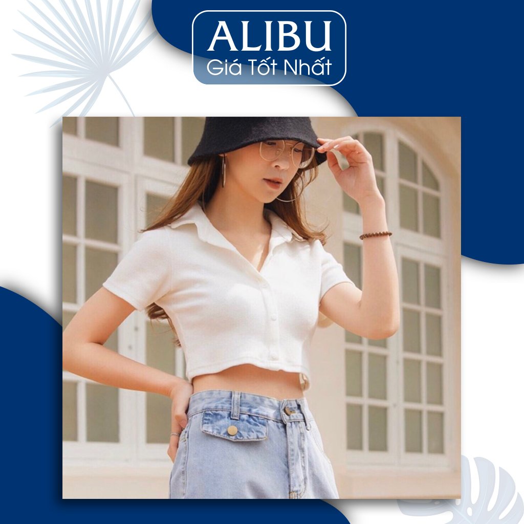 [bán lỗ lấy sao] Croptop nữ có cổ polo, áo crop cổ tròn ngắn tay unisex dáng ôm đẹp cotton co dãn thoáng mát Hàng loại 1