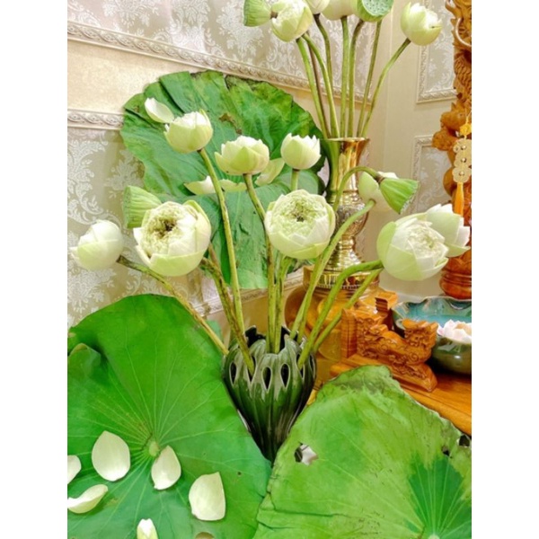 LỌ HOA GỐM SỨ BÁT TRÀNG - DÁNG BÀN TAY- MEN HỎA BIẾN.