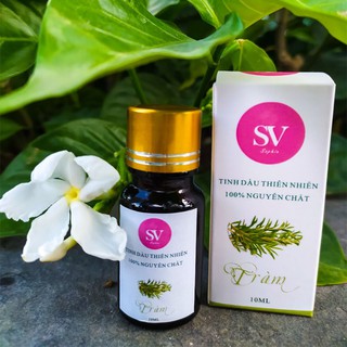 Tinh dầu Tràm Gió Delavia | Cajeput Essential Oil | Hàng Việt Nam