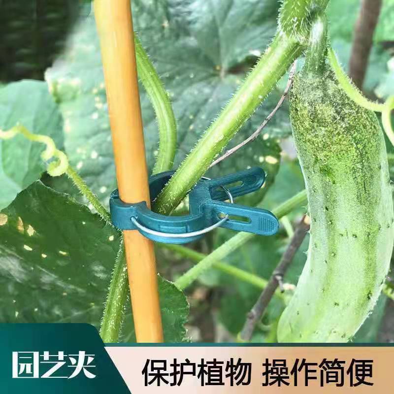 Kẹp Hỗ Trợ Cành Cây Leo Tiện Dụng Cho Sân Vườn