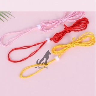 Dây dắt hamster, thỏ, Sóc , đuôi mập, chuột lang