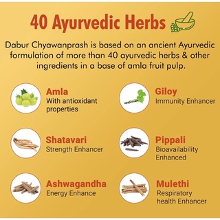 Dubar chyawanprash (dubar),Thực phẩm dinh dưỡng chywanprash 250gm dabur