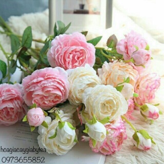 🌷 Cành Hồng Trà Mao Vương Giả 2 bông 1 nụ trang trí siêu xinh