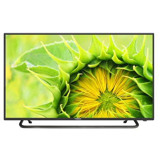 Smart Tivi Internet PUSHIKA TV 43” HD - 43PA50