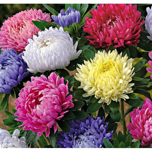 Phân bón Đầu Trâu NPK 3 màu 17-12-7 200gram