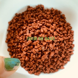 Hạt điều màu (dùng làm sate) 500g