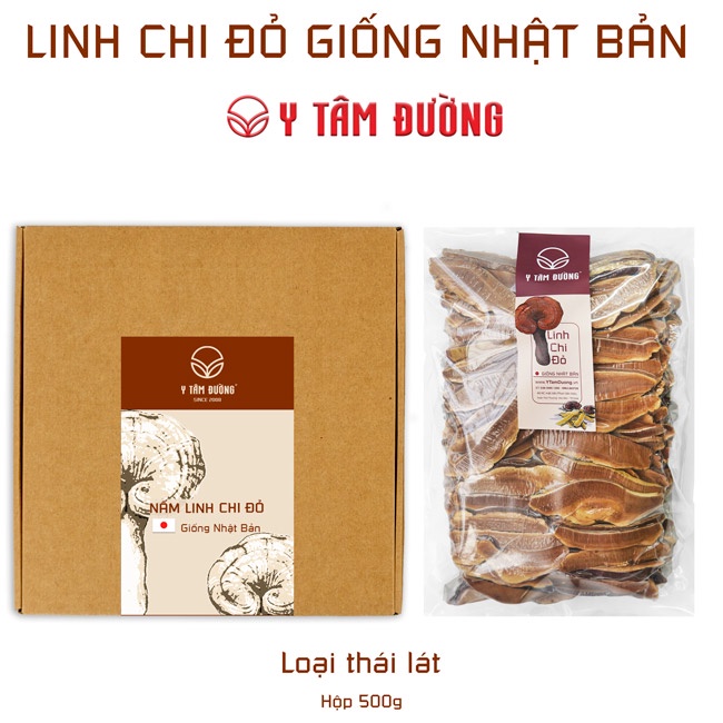 Nấm linh chi đỏ Nhật Bản thượng hạng - thái lát