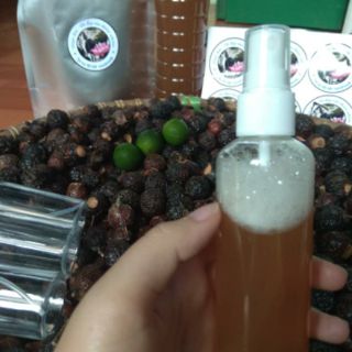 Bình xịt enzym bồ hòn 100ml , cọ bình ti cho bé(tặng kèm bồ kết)