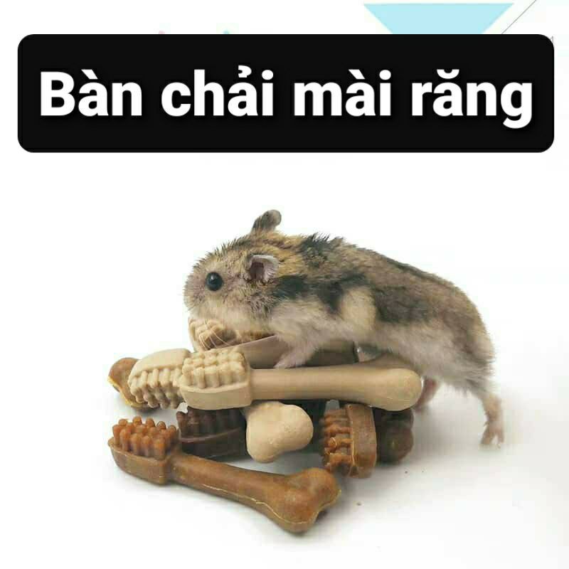 Bàn chải mài răng cho Hamster