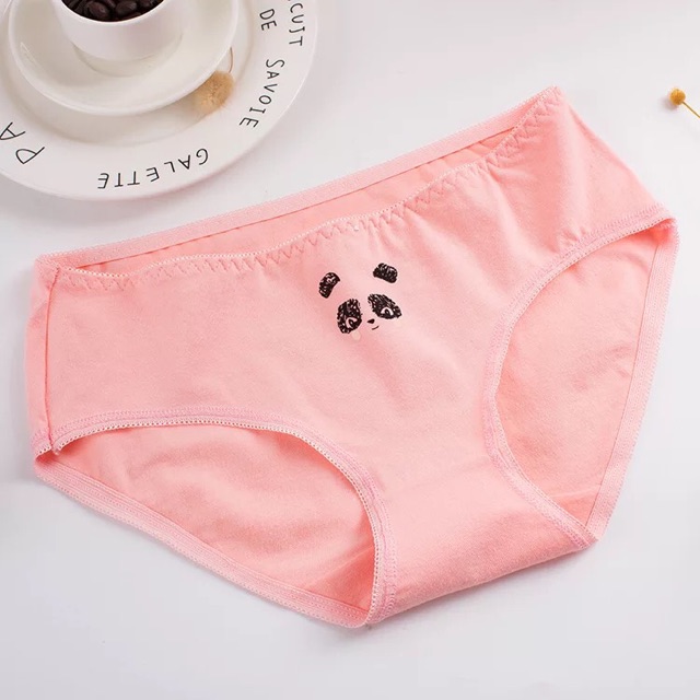 HỘP 04 QUẦN LÓT COTTON CHẤT ĐẸP (QL0024) | BigBuy360 - bigbuy360.vn