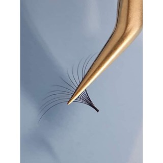 Nhíp volume bao test từ 3 đến 15D