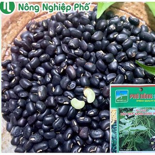 hạt giống đỗ đen vanvan