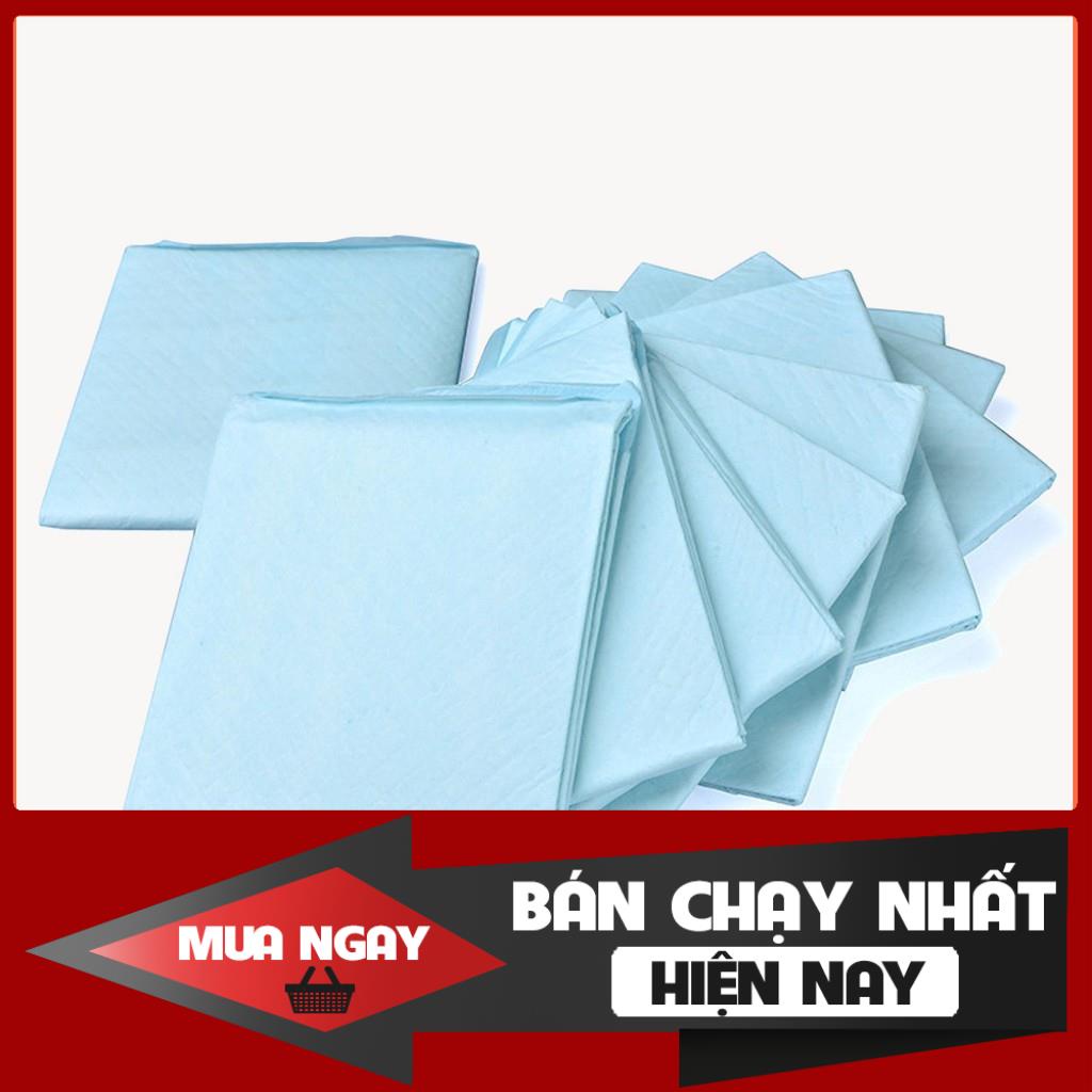 10 Tấm Lót Vệ Sinh Cho Thú Cưng CAO CẤP