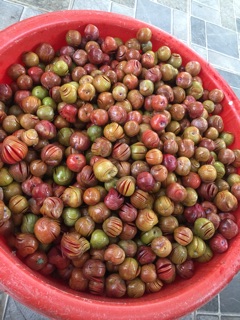 Ô mai mận xào dẻo