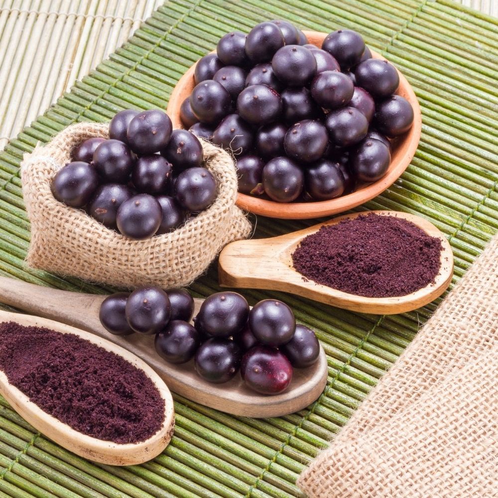 Bột Nước Ép Quả Acai