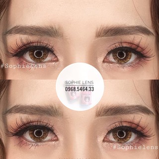 [CẬN] Mẫu Crystal nâu - xám giãn 14.2mm - VASSEN CONTACT LENS - kính áp tròng