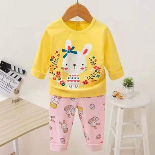 BỘ COTTON QC CAO CẤP