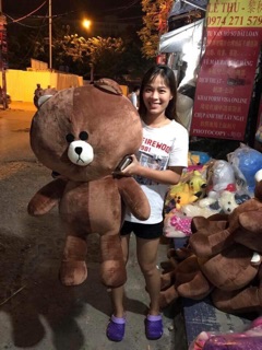 Gấu brown khổ vải m3