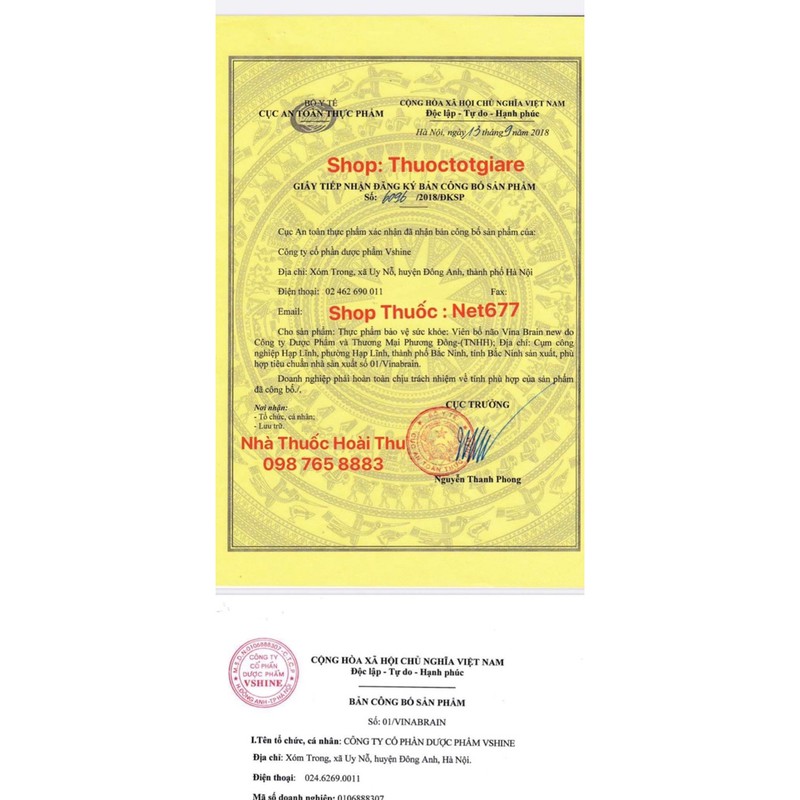 Viên Bổ Não VINA BRAIN new - Hỗ trợ hoạt huyết , tăng cường tuần hoàn não