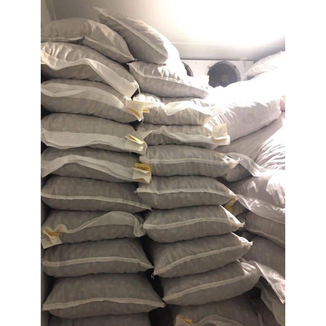 500gr ÓC CHÓ VÀNG NGUYÊN VỎ | BigBuy360 - bigbuy360.vn