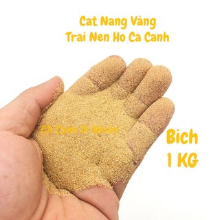 Cát vàng hạt mịn 1Kg trang trí hồ bể cá cảnh thác cát thủy sinh